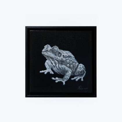 Nicht giftig  - Marion Pass